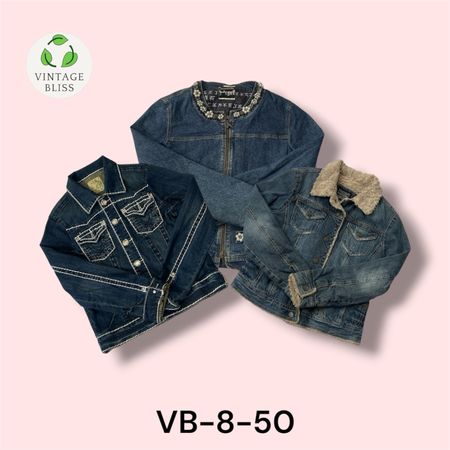 Veste en denim vintage Y2K en gros – Lot de 13 pièces (VB-8-50)