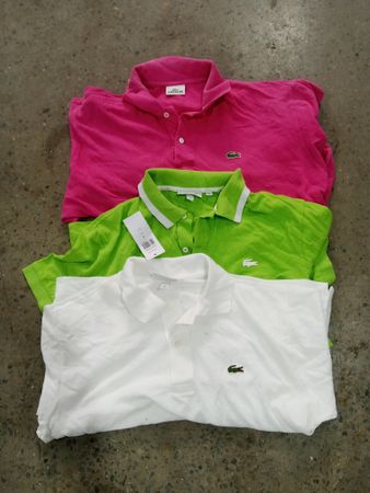 Lacoste Polo Shirts