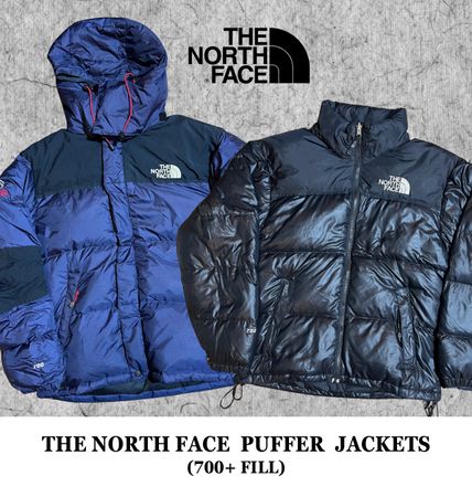The North Face Puffer Coats / Down Jackets (700/800/850/900)