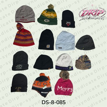 Casquettes d'hiver de marque / carhartt et plus (DS-8-85)