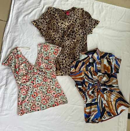 Y2K Short Sleeve Top Blouse B #317