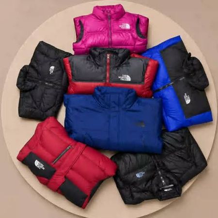 The North Face Puffer Jackets