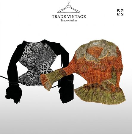 Y2k Blouse (1565)
