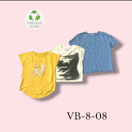 Y2K ヴィンテージ プリント T シャツ 卸売 バンドル (VB-8-08) 12 ピース