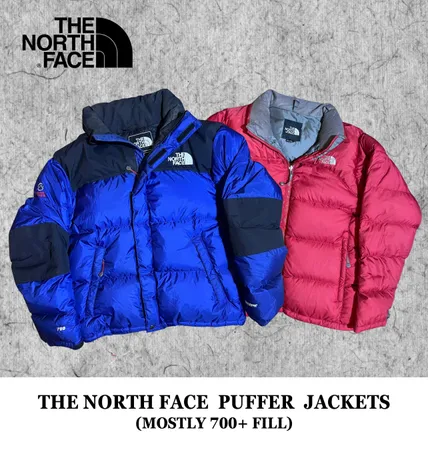The North Face Puffer Down Jackets