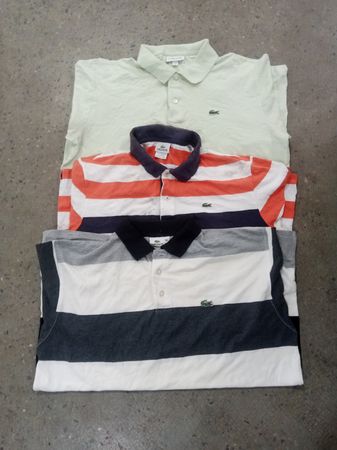 Lacoste Polo Shirts