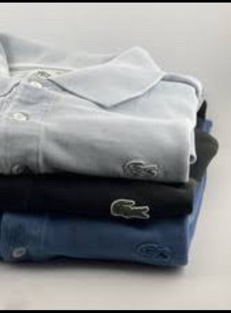 Lacoste polo t shirts for Men