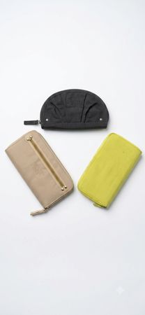 George Gina & Lucy Wallet's