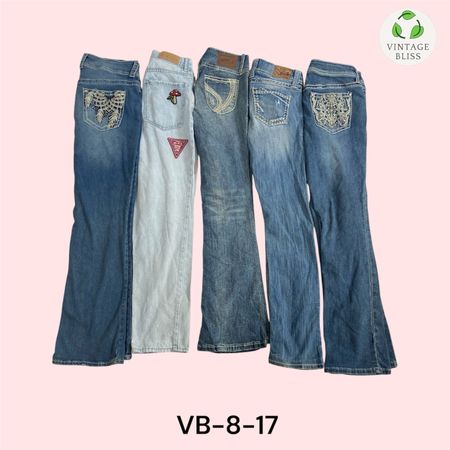 Y2K Vintage Light Color Embroidered Modern Jeans – Pacchetto all'ingrosso, 20 pezzi (VB-8-17)