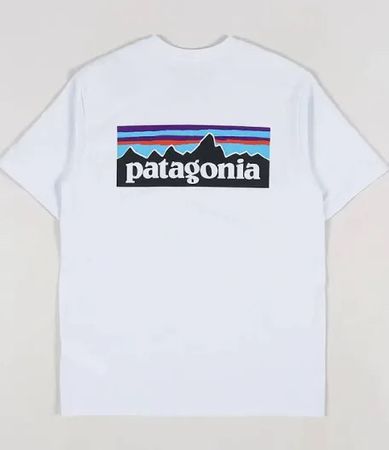 Patagonia tshirts and polos