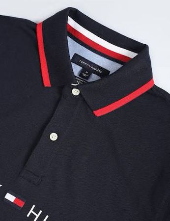 Camisetas de gola polo Premium Tommy Hilfiger