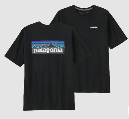 Patagonia Plain T-Shirt