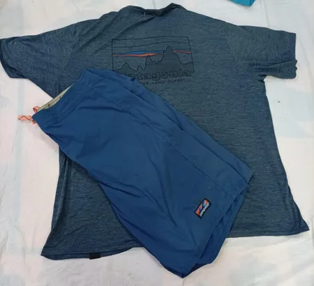 CR11592 Vintage Dickies Shorts