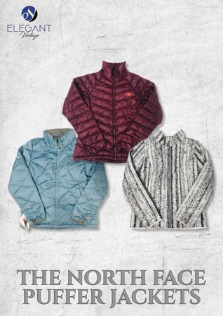 The North Face Puffer Jackets - EVM1995