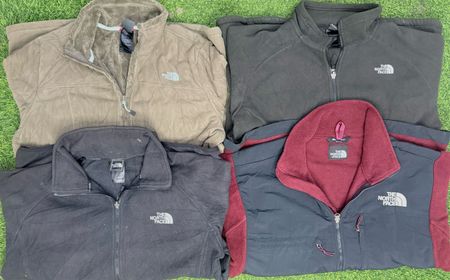 Die North Face Fleecejacken