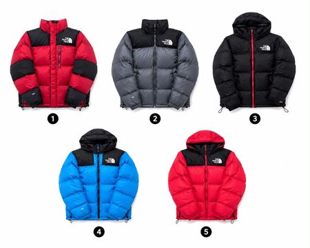 The North Face Puffer Jackets