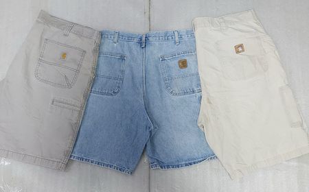 Carhartt Denim & Cotton Shorts