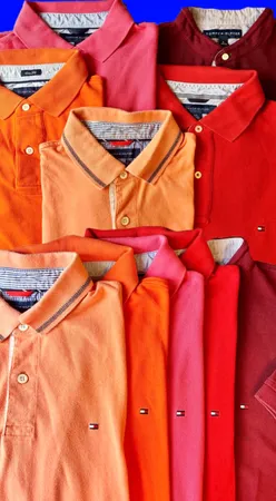 Tommy Hilfiger T-Shirts