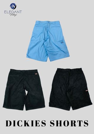 Dickies Shorts - EVM1422