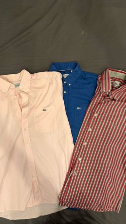 Men Lacoste Shirts