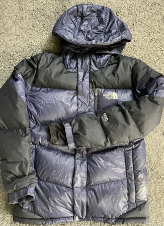 The nort face down puffer jacket with hood
