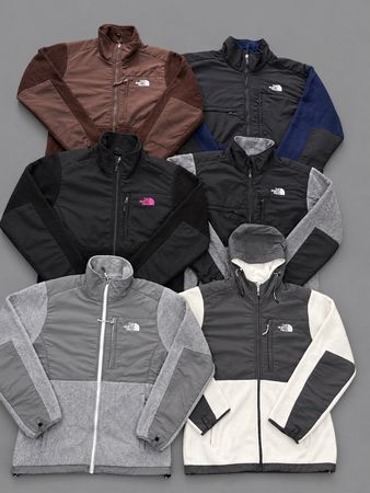 The north face Denali fleece jacket