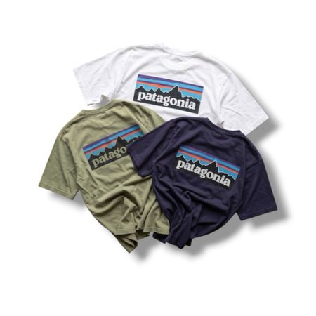 Patagonia t shirt (171))