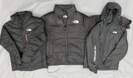 The north face puffers jkt.