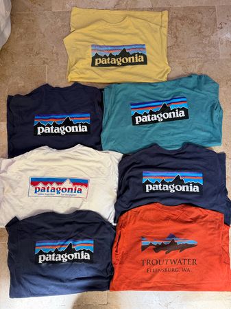 Patagonia tees 12 pieces