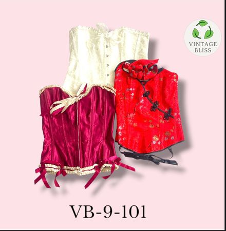 Y2K Vintage Corset Wholesale Bundle – 7 Piece Lot | Assorted Styles (VB-9-101)