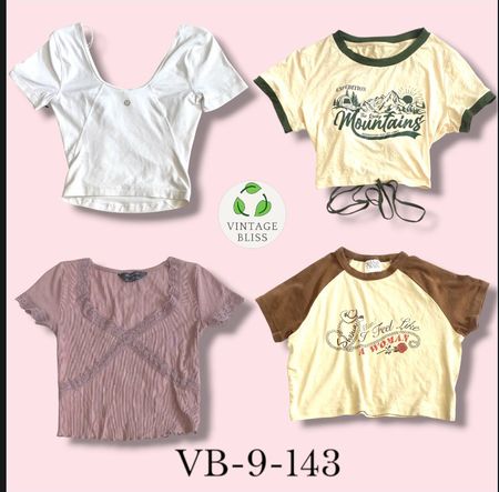 Y2K Vintage Style Baby Tee Wholesale Bundle – Assorted Styles & Prints (VB-9-143) 11 pièces