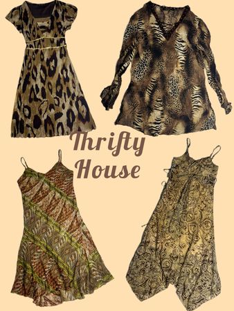 Y2K Wild & Boho Dress Edit(TH/715)