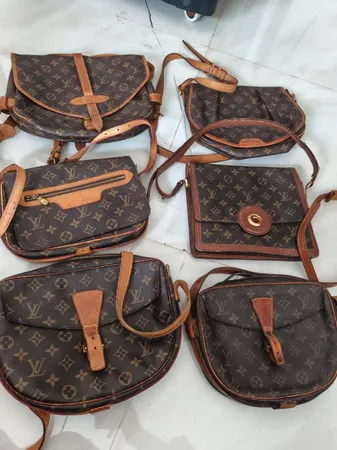 Louis Vuitton bags bundle two
