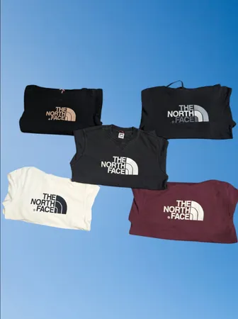 The north face premium sweatshirt
