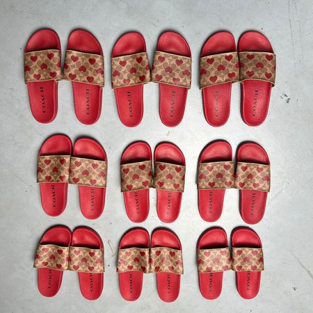 Coach Sport Sliders