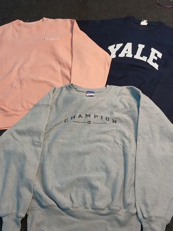 Champion Sweatshirt & Hoodies