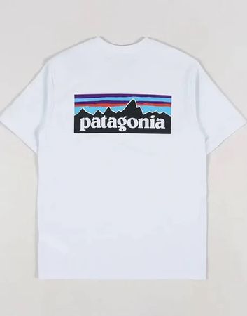 Patagonia polo and t-shirt