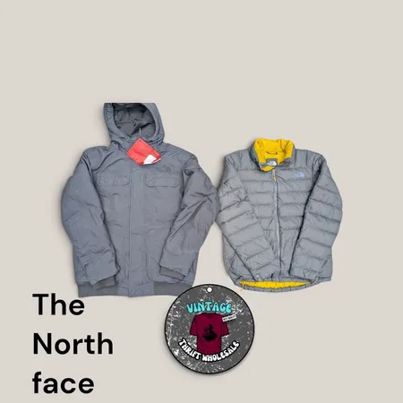 The North face puffer jackets(550,600,800)