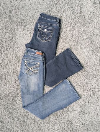 ***Y2K Women's Embroidered Flare Jeans