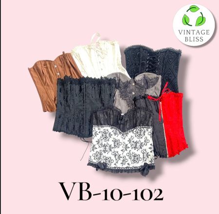 Y2K Vintage Corset Wholesale Bundle – Assorted Styles (VB-10-102) 10 pièces
