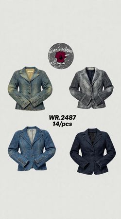 Y2k denim jacket’s WR-2487