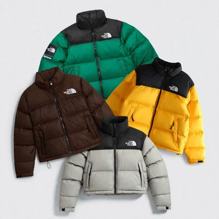 Authentische Premium The North Face Pufferjacke