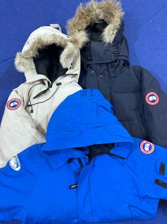 Canada Goose